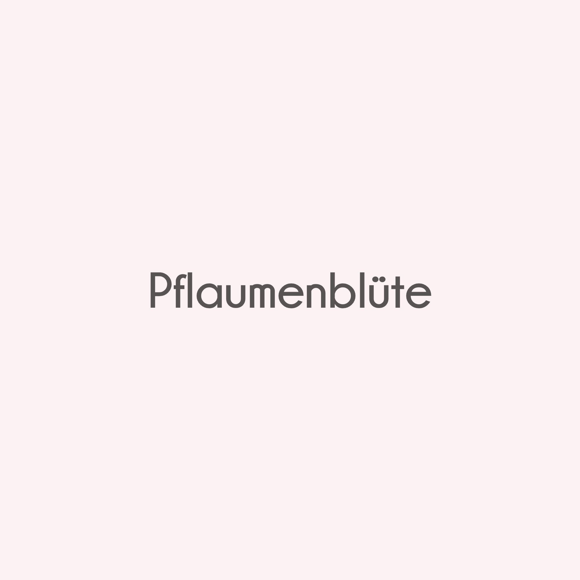 Pflaumenblüten-Extrakt (Prunus Mume Flower Extract) ist ein traditioneller koreanischer Antioxidans-Wirkstoff, der oxidativen Stress reduziert und die Hautbarriere stärkt.