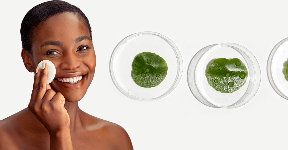 Cica in K-Beauty – koreanische Hautpflege mit Centella Asiatica für sensible und gereizte Haut
